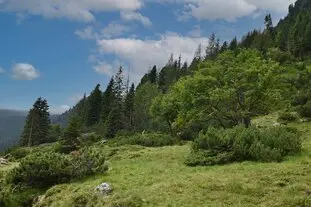 Galerie Land Urlaub Steiermark