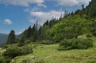 Galerie Land Urlaub Steiermark