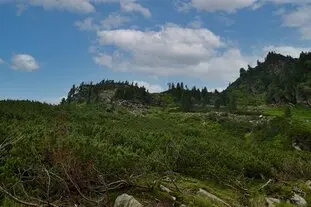 Galerie Land Urlaub Steiermark