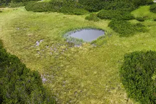 Galerie Land Urlaub Steiermark